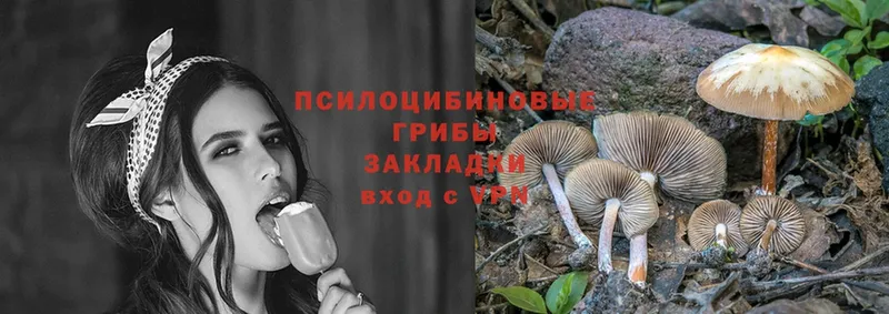 купить  цена  Тосно  Галлюциногенные грибы MAGIC MUSHROOMS 